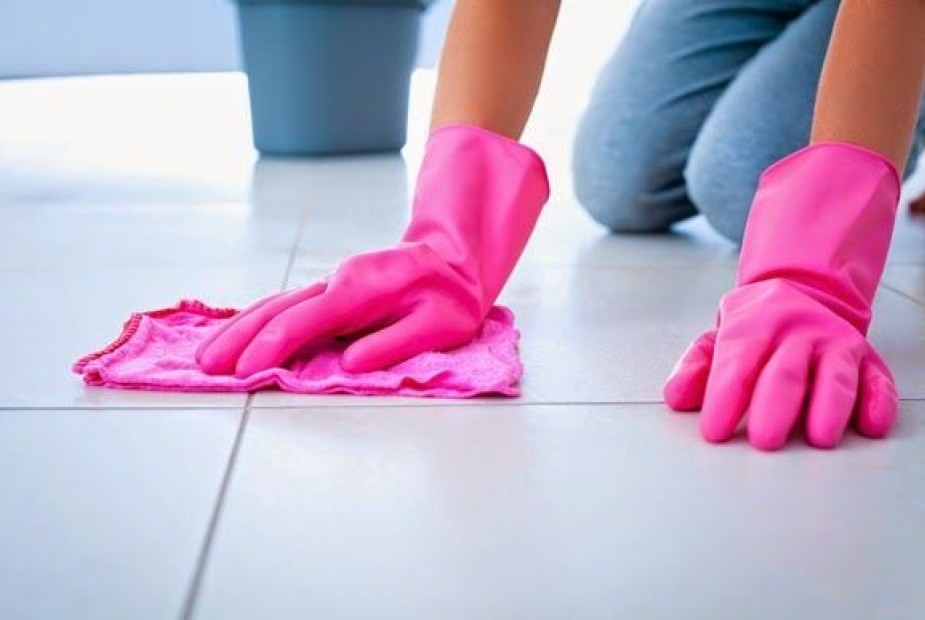 Empregado doméstico e a estabilidade decorrente de acidente de trabalho Empregado doméstico e a estabilidade decorrente de acidente de trabalho