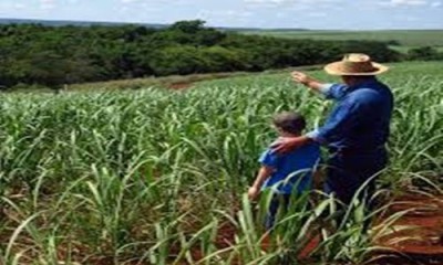 Receita define regras sobre contribuição previdenciária para produtor rural