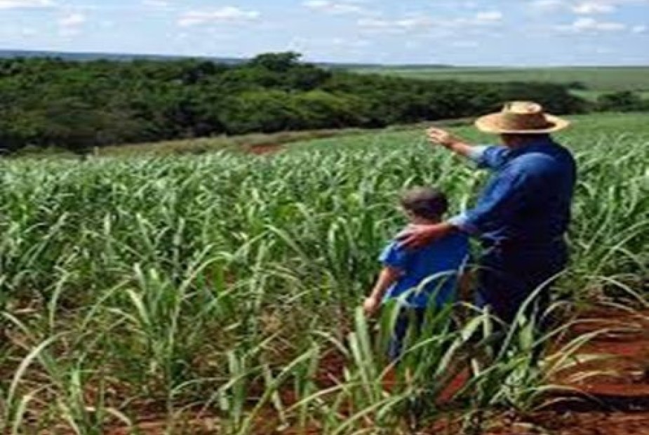 Receita define regras sobre contribuição previdenciária para produtor rural