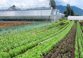 Produtor Rural – Receita Federal orienta produtor rural pessoa física quanto à retificação da GFIP