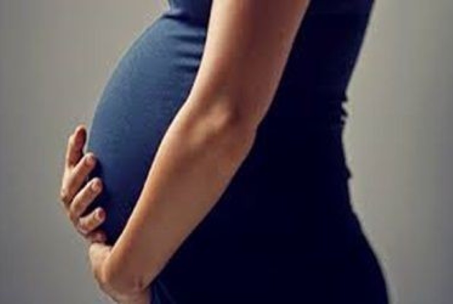 Gestante ou Lactante – Exposição à Insalubridade Gestante ou Lactante – Exposição à Insalubridade