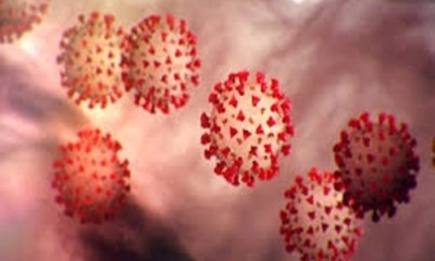 Coronavírus – Empregadores já podem prestar informações sobre acordos do Programa Emergencial de Manutenção do Emprego e da Renda Coronavírus – Empregadores já podem prestar informações sobre acordos do Programa Emergencial de Manutenção do Emprego e da Renda