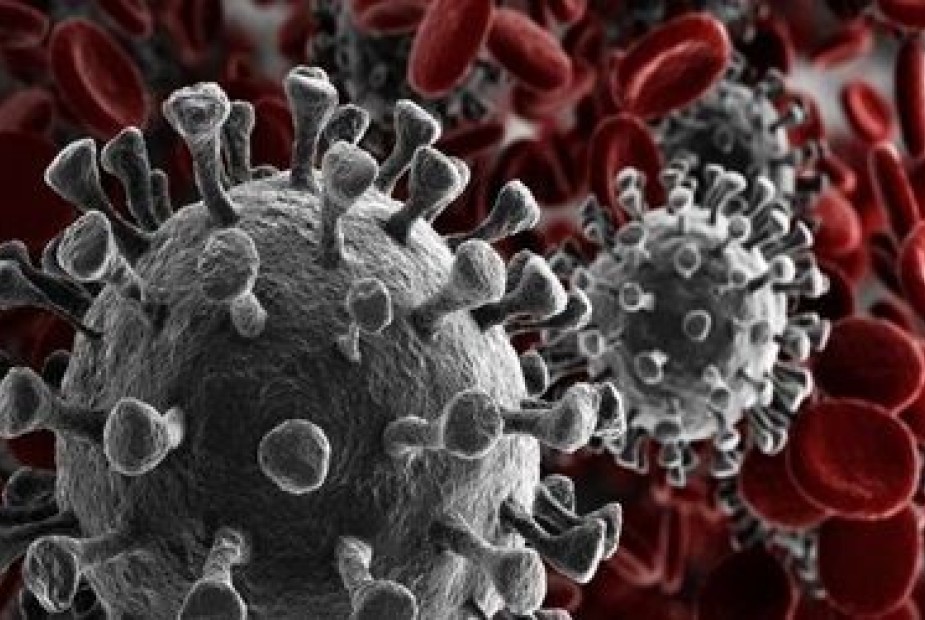 AS DIFERENÇAS ENTRE O AFASTAMENTO POR ISOLAMENTO E POR INFECÇÃO PELO CORONAVÍRUS NAS RELAÇÕES DE TRABALHO.